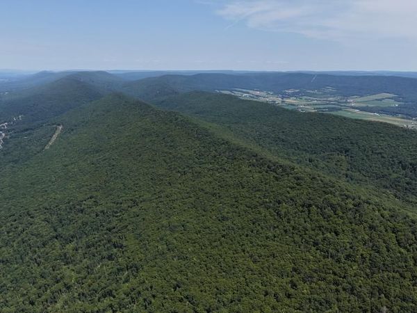 PHOENIX LANE , MILL HALL, PA 17751