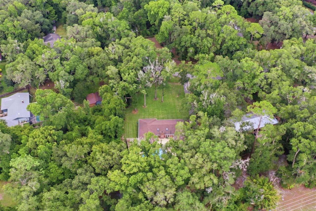 226 SW 80th Boulevard, Gainesville, FL 32607 Photo