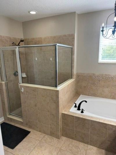 8221 Nectar Ridge Court, Odessa, FL 33556 Photo