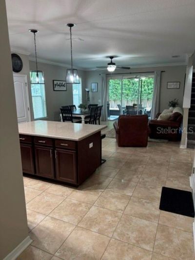 8221 Nectar Ridge Court, Odessa, FL 33556 Photo