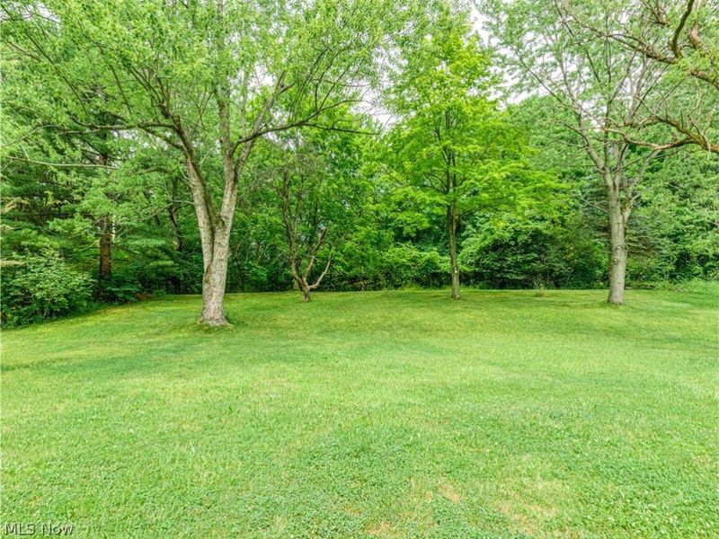 132 Parkview Drive, Aurora, OH 44202 Photo 3