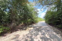 Btf 1 Bradley Trail photo 4