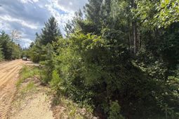 Btf 1 Bradley Trail photo 4