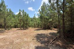 Btf 1 Bradley Trail photo 4