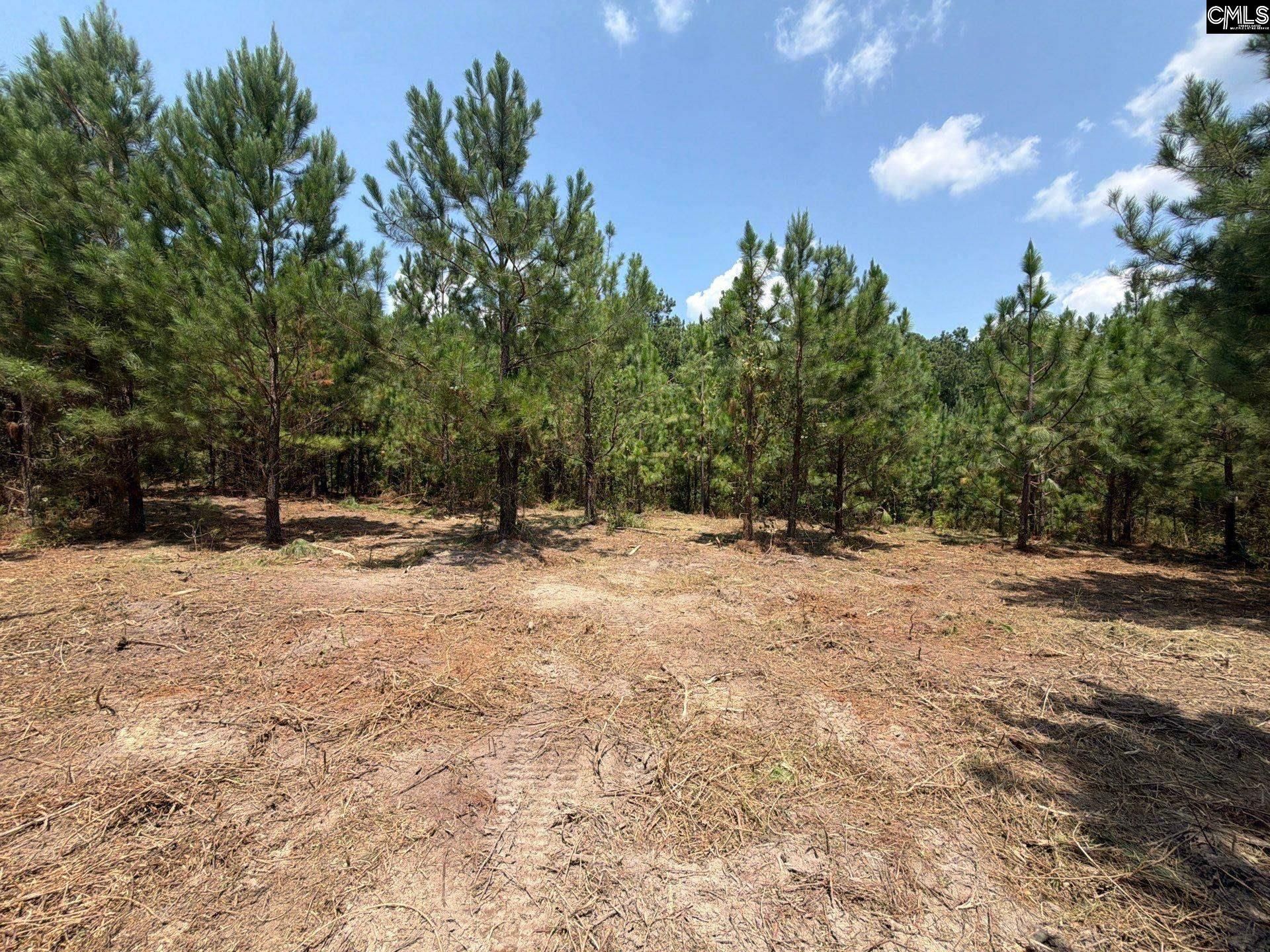 Btf 1 Bradley Trail Photo 5