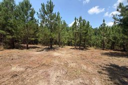 Btf 1 Bradley Trail photo 4
