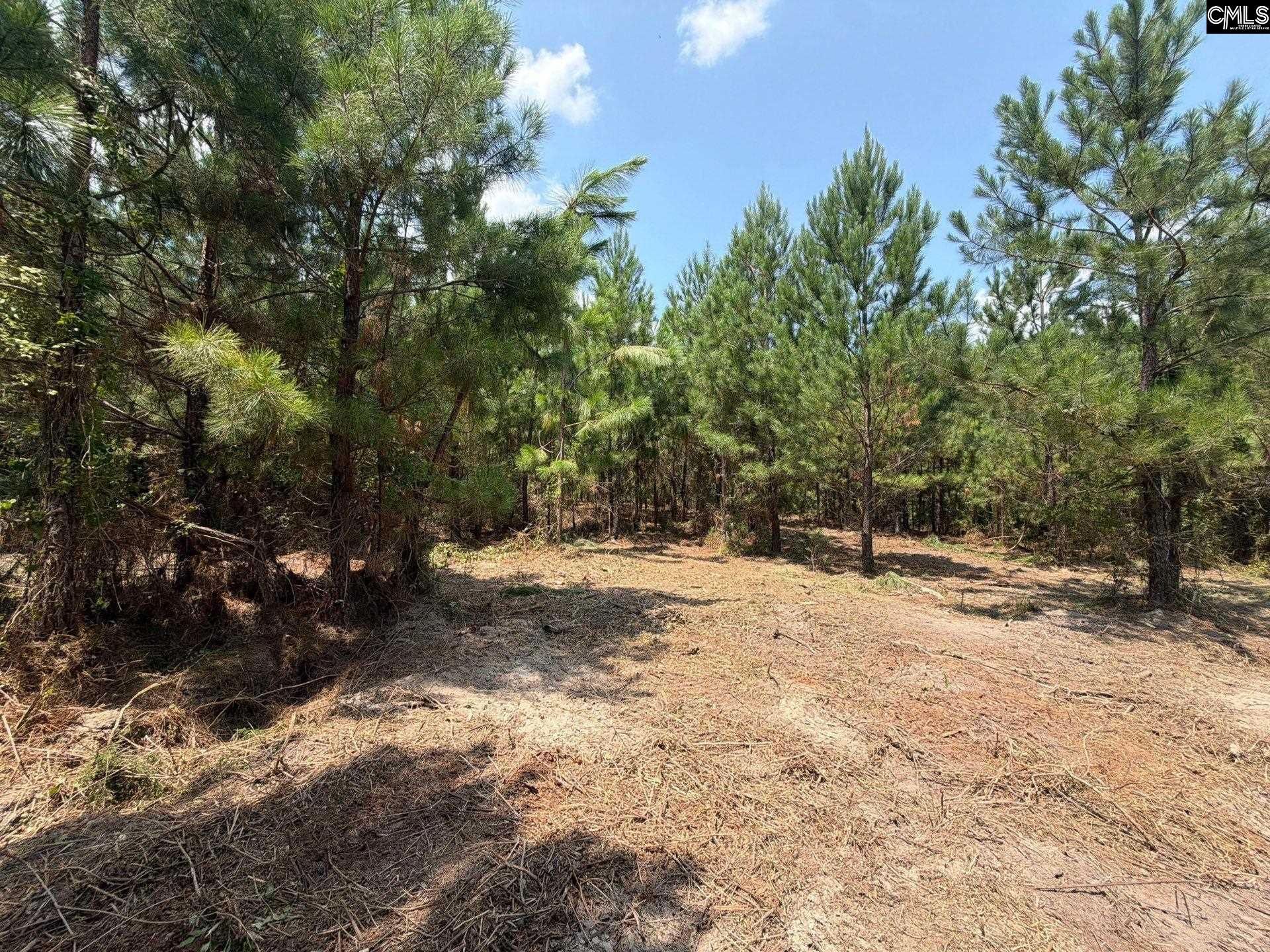 Btf 1 Bradley Trail Photo 6