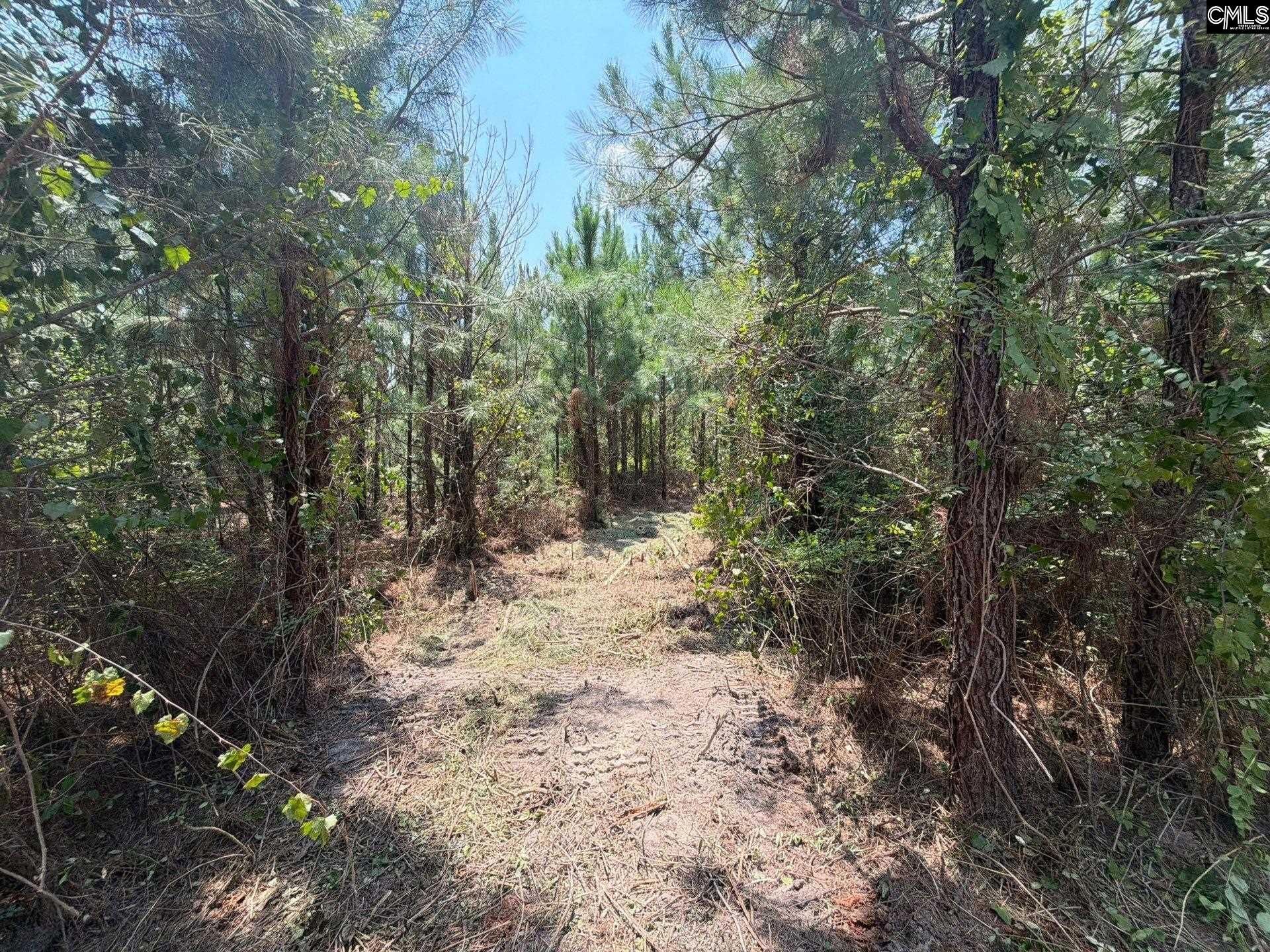 Btf 1 Bradley Trail Photo 7