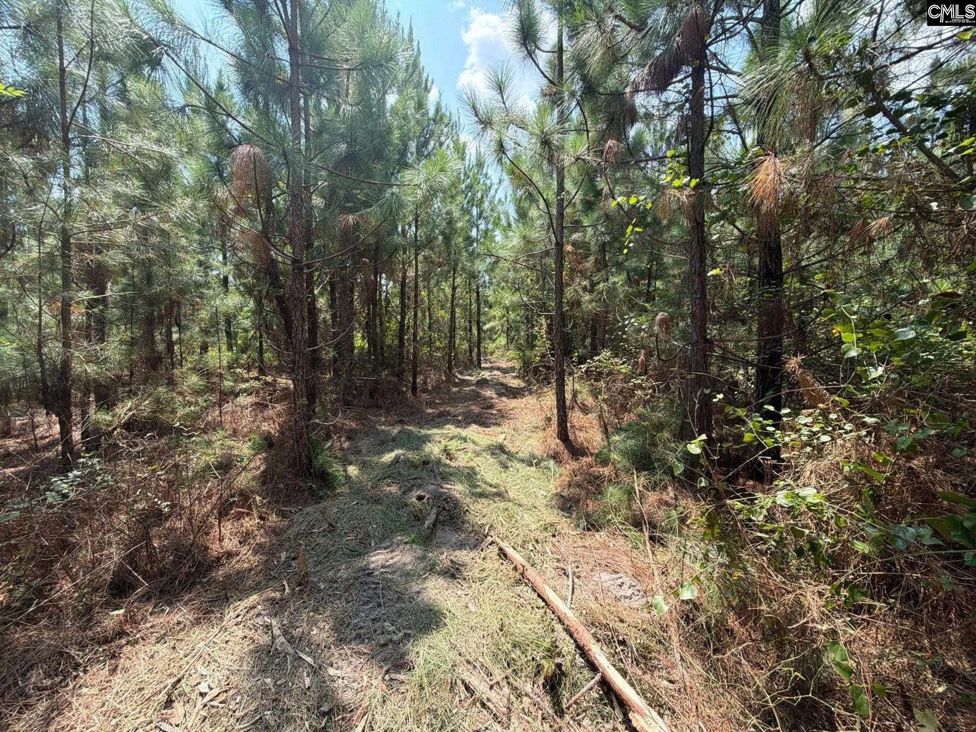 Btf 1 Bradley Trail Photo 8