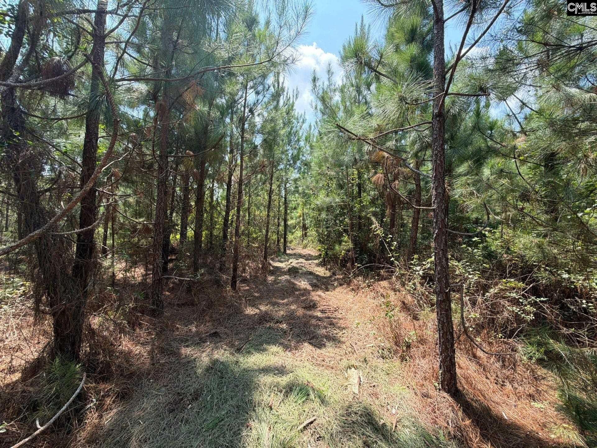 Btf 1 Bradley Trail Photo 9