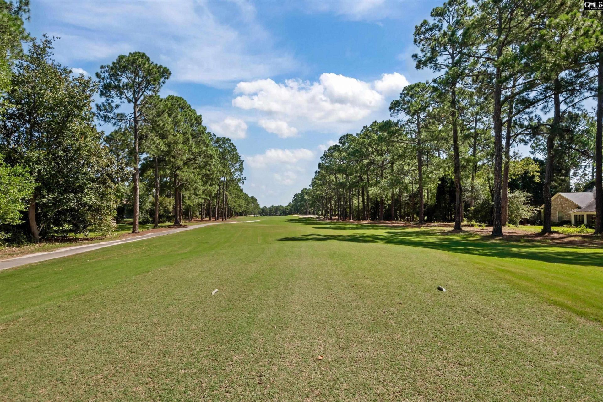 321 Wood Duck Road Photo 38