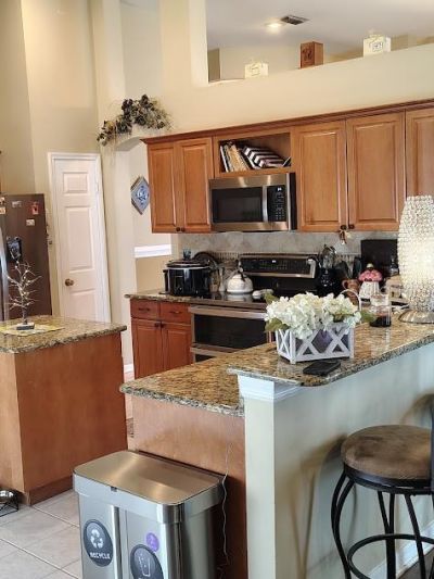 811 Sand Ridge Drive, Valrico, FL 33594 Photo