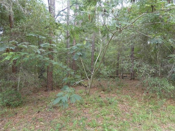 10075 N BISCAYNE DRIVE , CITRUS SPRINGS, FL 34434