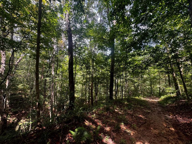 770 Remely Road , Unit ( Tract 5 , Cutler, OH 45724 Photo 14