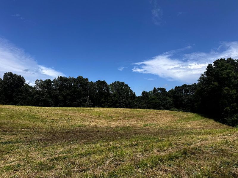 770 Remely Road , Unit ( Tract 5 , Cutler, OH 45724 Photo 18