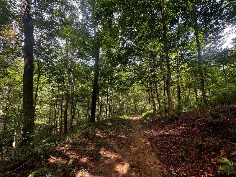 770 Remely Road , Unit ( Tract 5 , Cutler, OH 45724 Photo 3