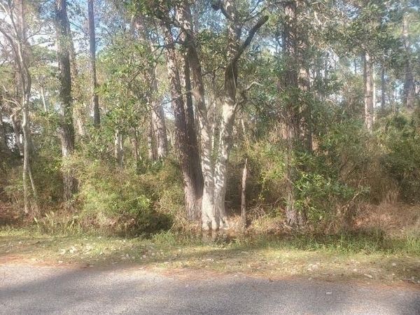 228 Chenault Avenue , Dauphin Island, AL 36528