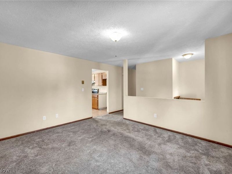 22 Pebble Cove, Rittman, OH 44270 Photo 11