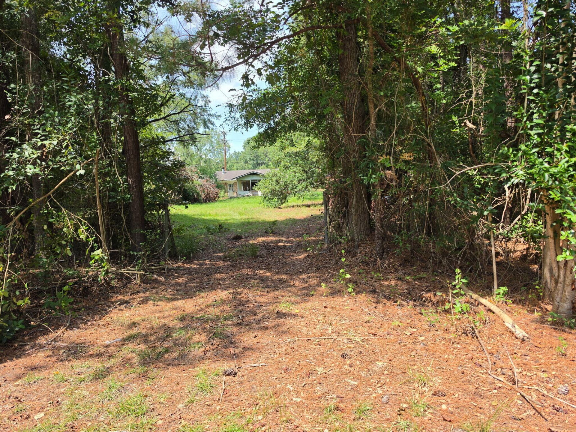 266 Amy Drive Photo 2