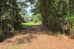 266 Amy Drive photo 4