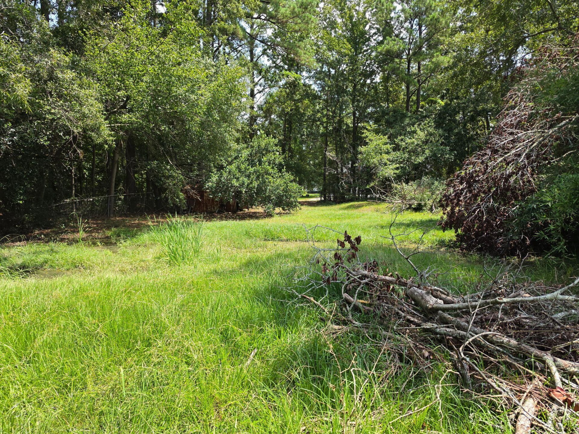 266 Amy Drive Photo 6