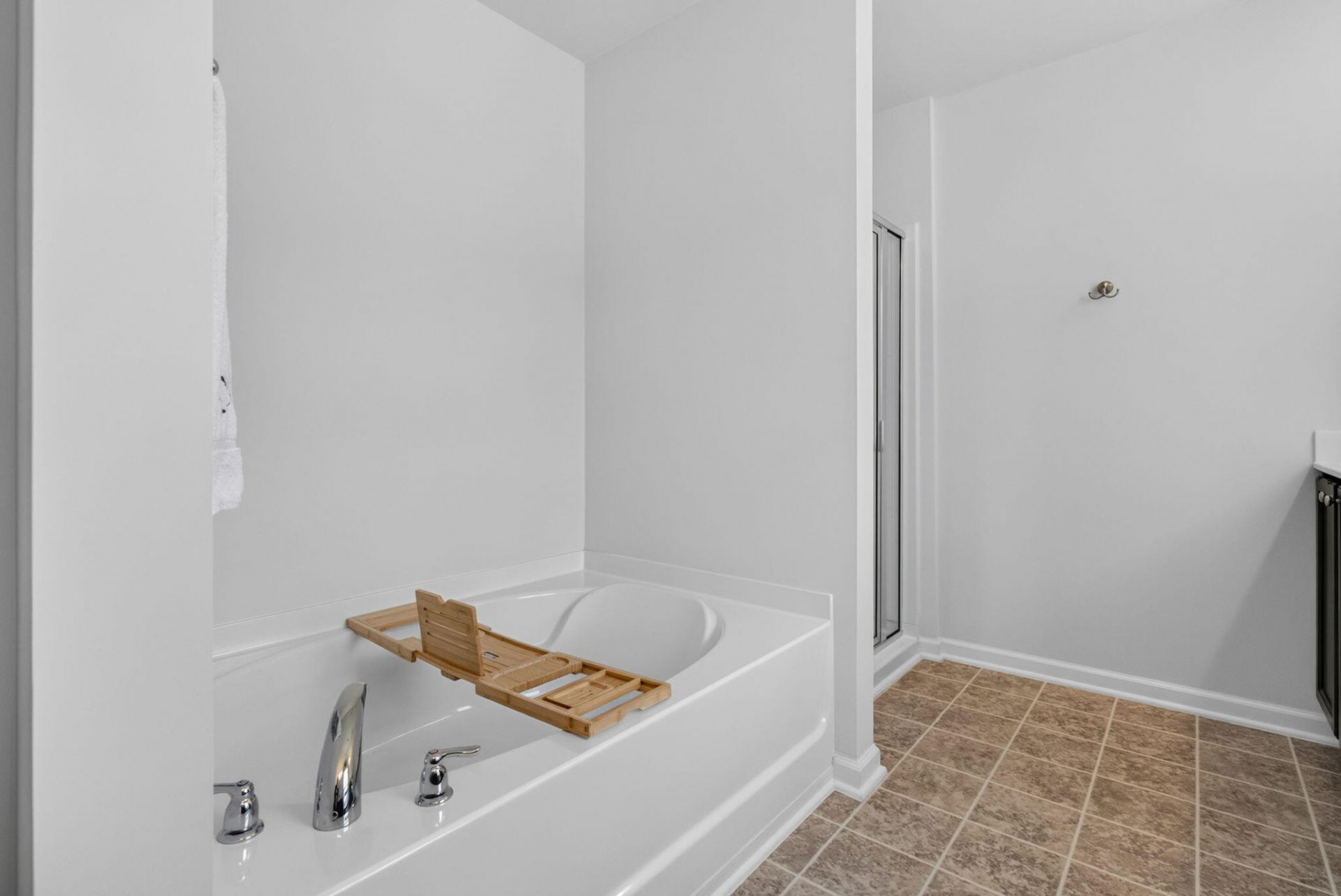 208 Roanoke Hill Court Photo 30