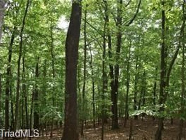 4 Greenstreet Drive , Traphill, NC 28685