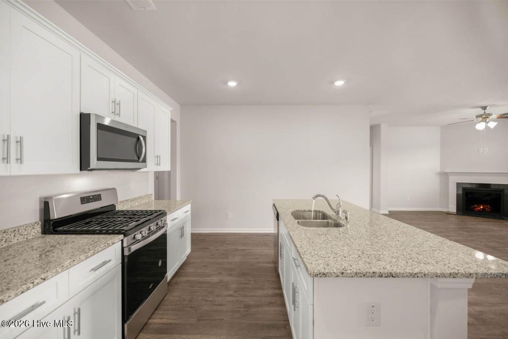 4699 Crimson Pass Photo 5