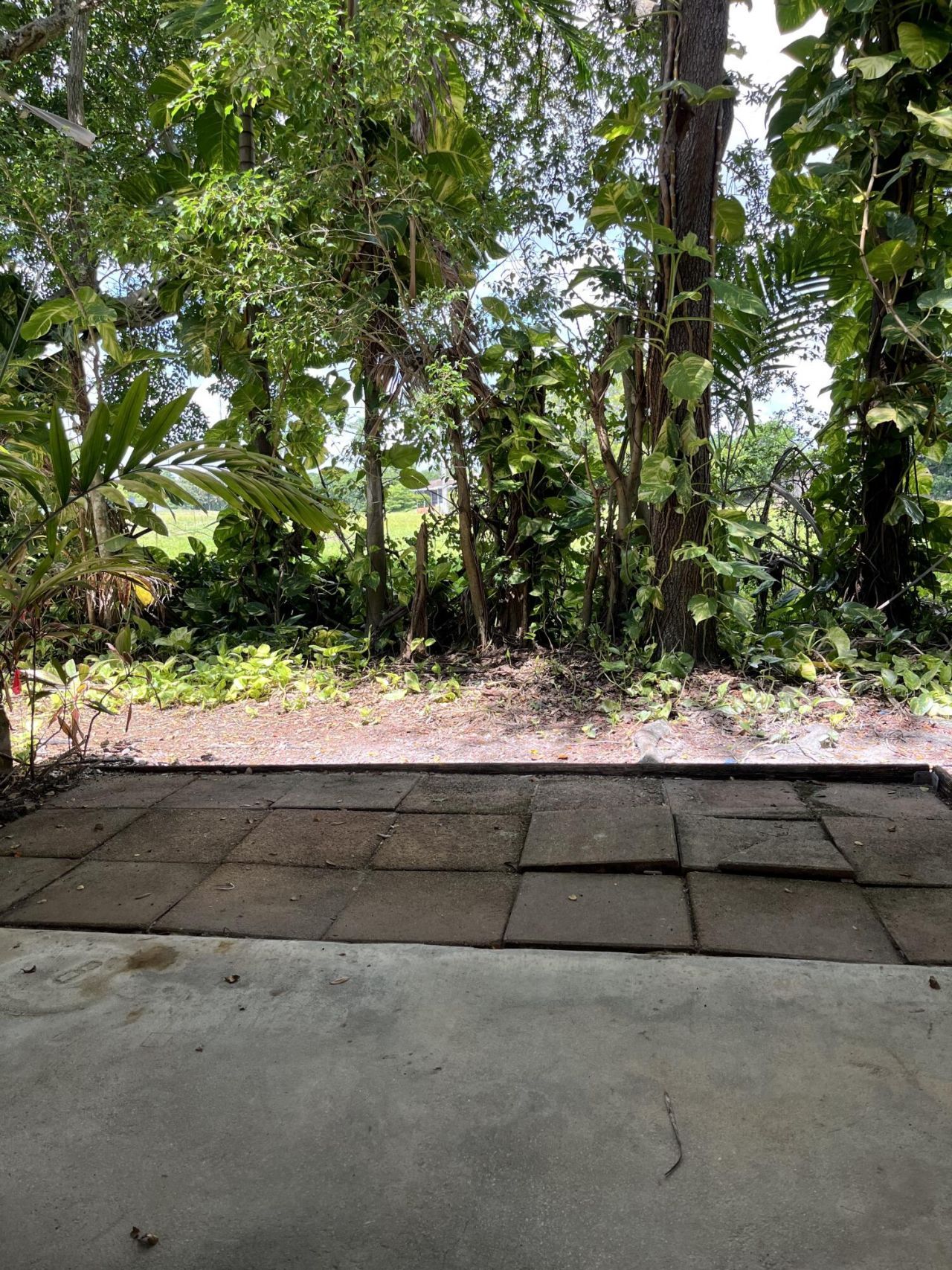 4414 Woodland Circle, Tamarac, FL 33319 Photo