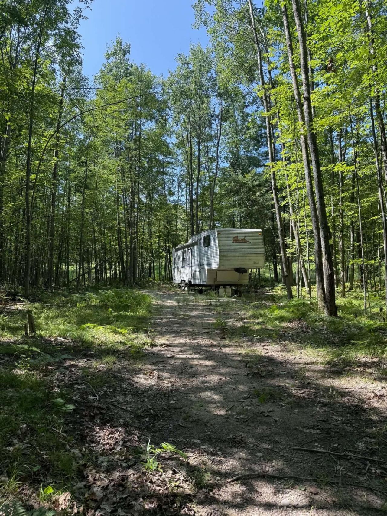 1128 N Hubbard Lake Road, Lincoln, MI 48742 Main Photo