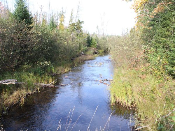 22006 Bowden Trail, Hillman, MI 49746