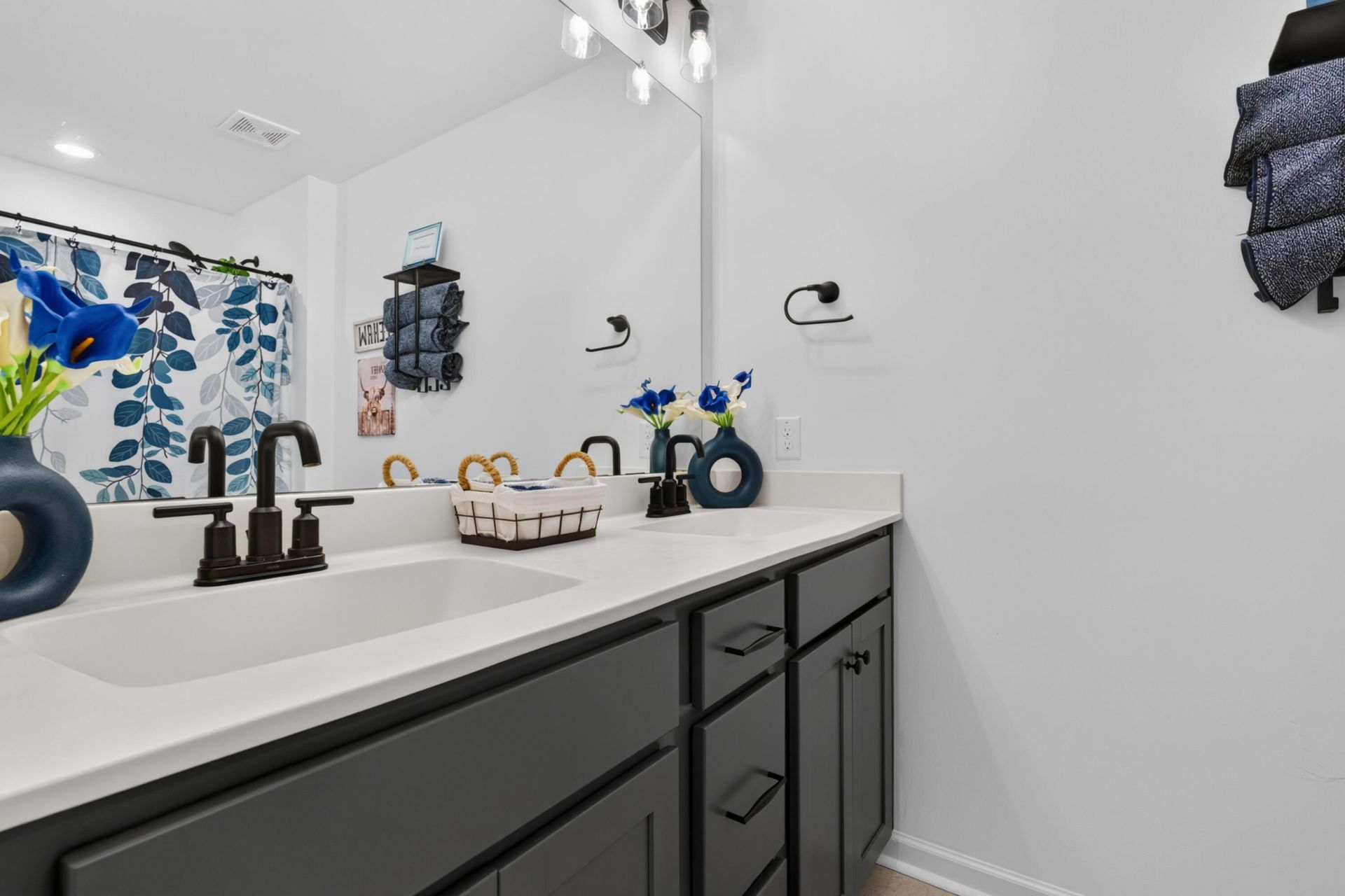 8805 Citronella Way Photo 19