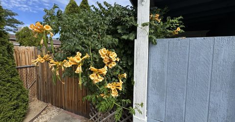 920 Loyola Street, Carson City, NV 89705 Photo