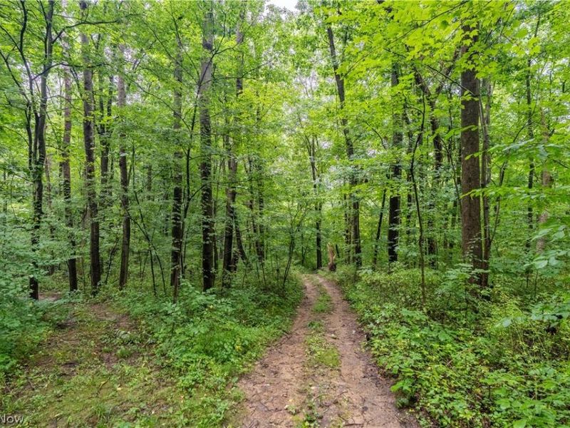 17881 Horseshoe Bend Road E, Newcomerstown, OH 43832 Photo 26