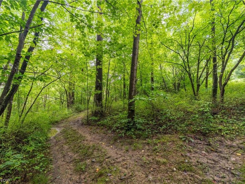 17881 Horseshoe Bend Road E, Newcomerstown, OH 43832 Photo 28