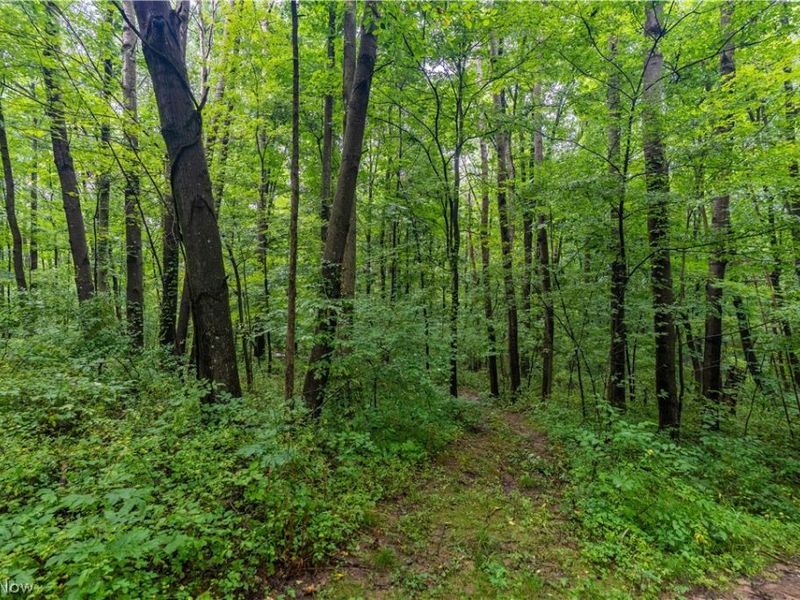 17881 Horseshoe Bend Road E, Newcomerstown, OH 43832 Photo 29