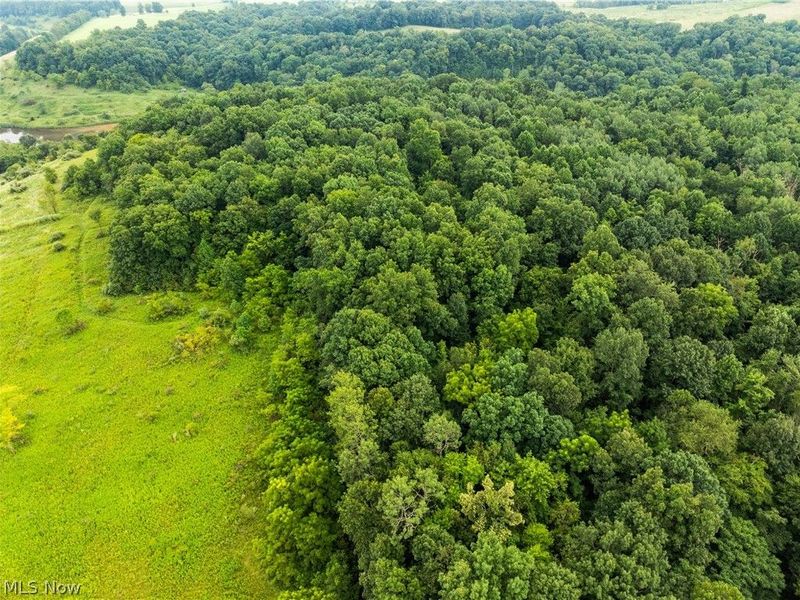 17881 Horseshoe Bend Road E, Newcomerstown, OH 43832 Photo 30