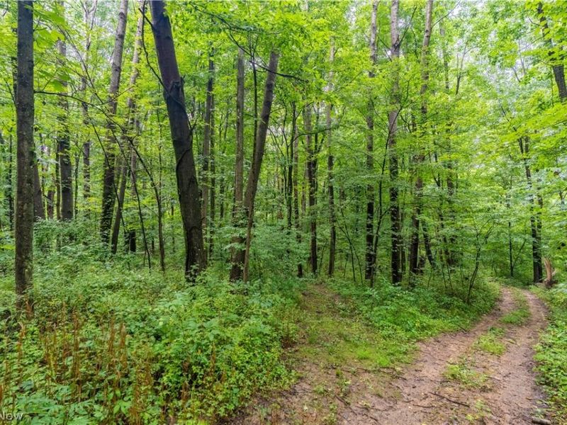 17881 Horseshoe Bend Road E, Newcomerstown, OH 43832 Photo 31