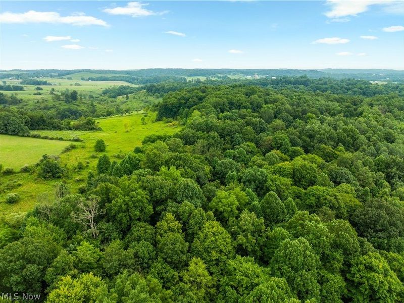 17881 Horseshoe Bend Road E, Newcomerstown, OH 43832 Photo 39