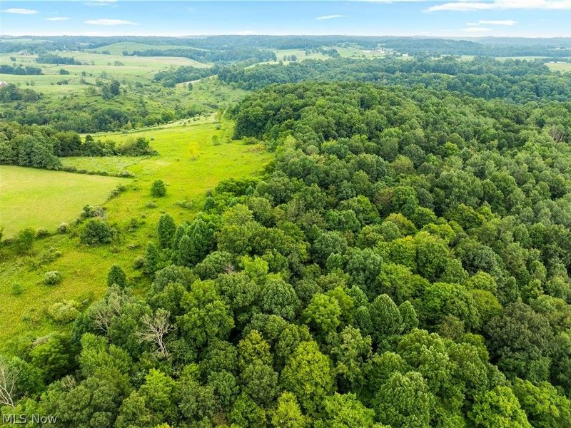 17881 Horseshoe Bend Road E, Newcomerstown, OH 43832 Photo 40