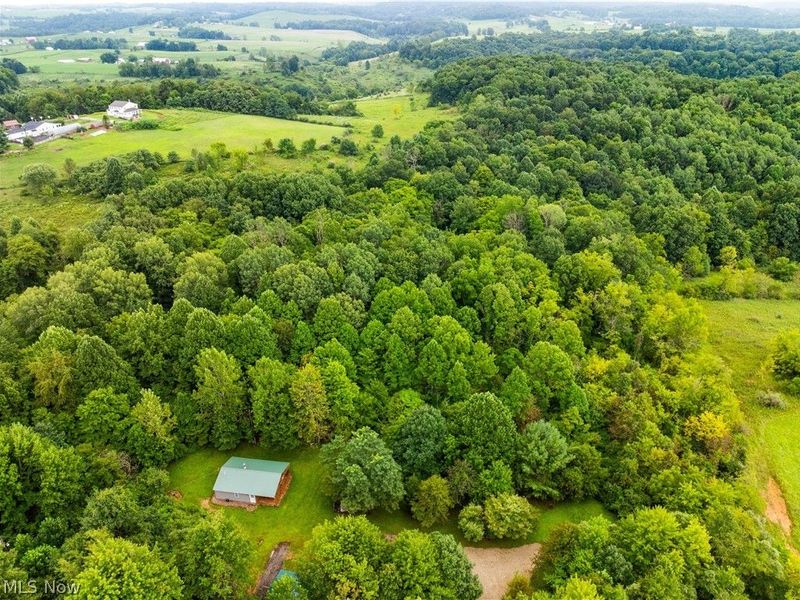 17881 Horseshoe Bend Road E, Newcomerstown, OH 43832 Photo 41