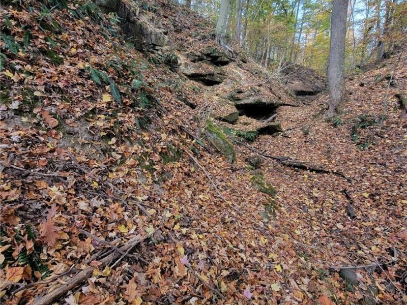 17881 Horseshoe Bend Road E, Newcomerstown, OH 43832 Photo 49