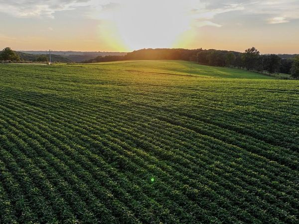 40.22� Acres Stump Ridge Road, Viroqua, WI 54665
