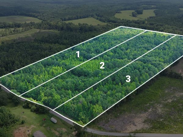 Lot 3 Martin Road, Golden, MS 38847