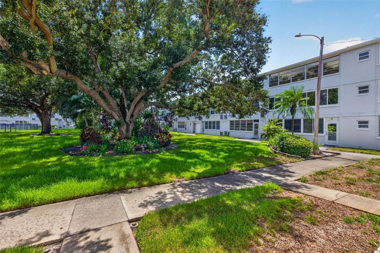 1000 79th Avenue N, Unit 111, Saint Petersburg, FL 33702 Photo