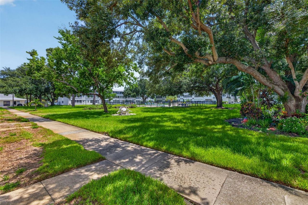 1000 79th Avenue N, Unit 111, Saint Petersburg, FL 33702 Photo