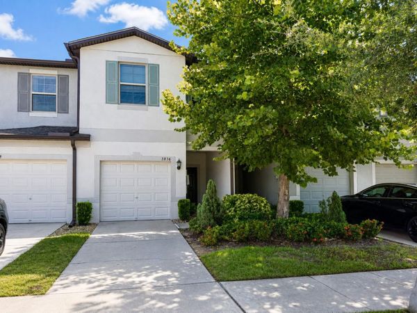 3836 CAT MINT STREET , TAMPA, FL 33619
