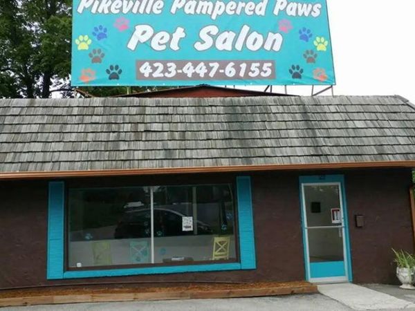 22 Riverview Avenue, Pikeville, TN 37367
