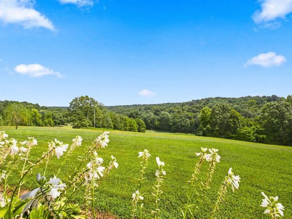 1043 Murphy Hollow Road , Vanleer, TN 37181