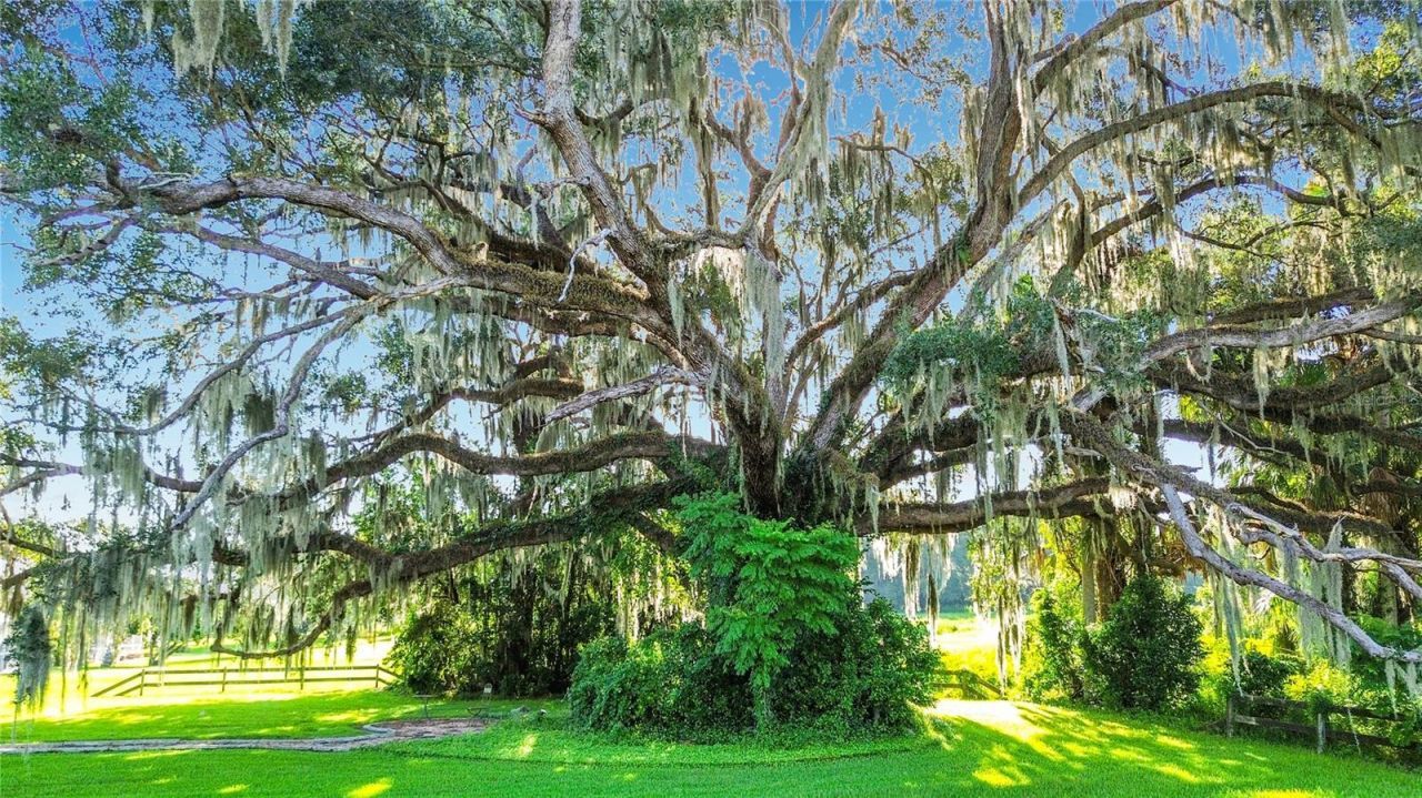 1281 N Timucuan Trail, Inverness, FL 34453 Photo